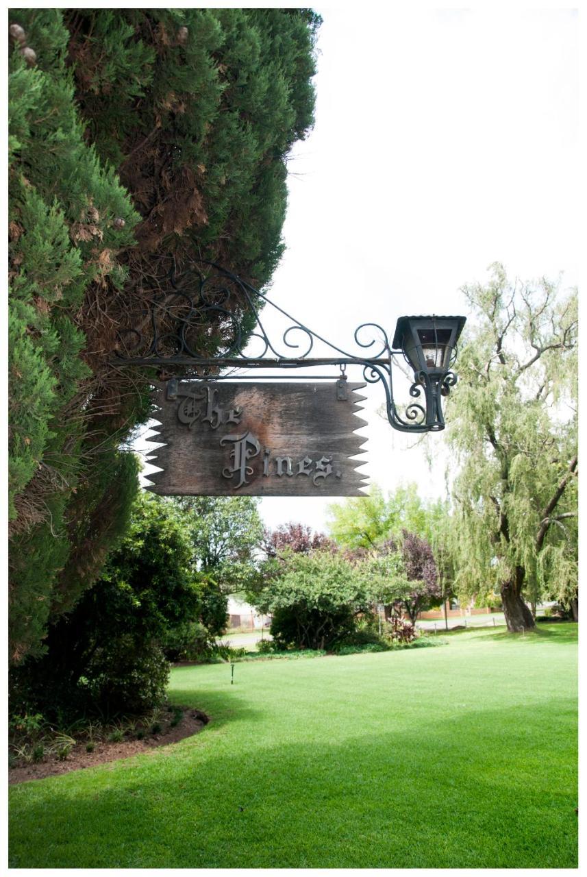 هاريسميذ Shady Pines Guest House المظهر الخارجي الصورة